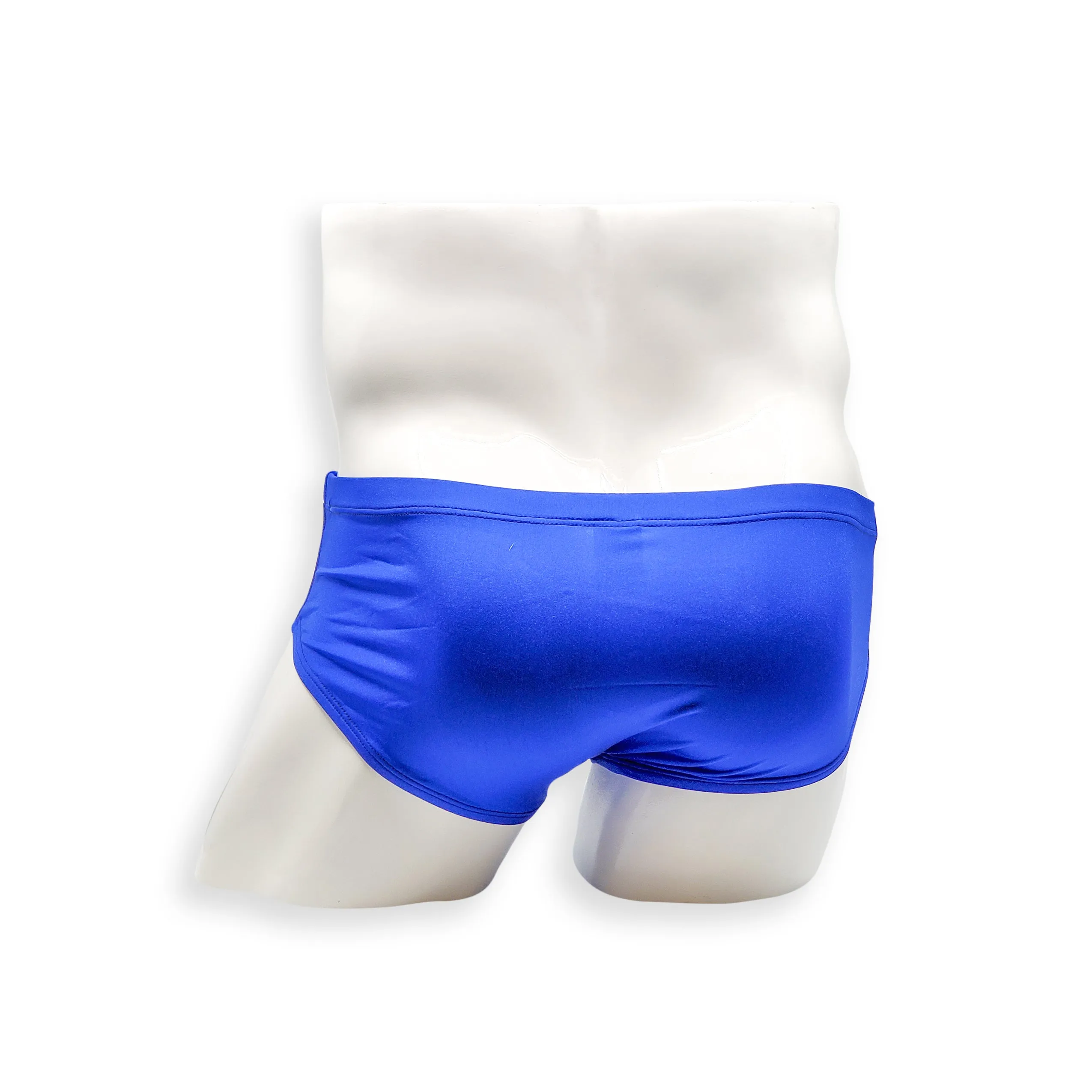 Vintage Cut Swim Brief - Blue